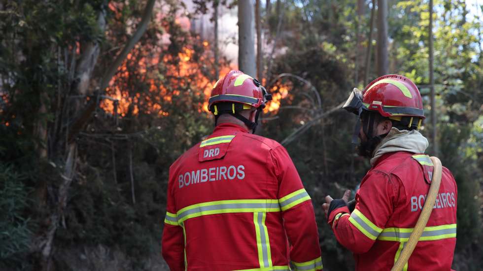 Bombeiros de Câmara de Lobos combatem incêndio na Estrada Nova do Castelejo, na freguesia do Estreito de Câmara de Lobos, em Câmara de Lobos, 18 de agosto de 2024, HOMEM DE GOUVEIA/LUSA