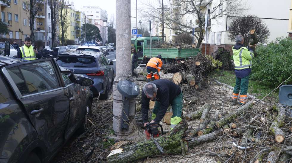 Devido à passagem da depressão Kristin, uma árvore de grande porte caiu causando danos em vários carros, em Lisboa, 28 de janeiro de 2026. Portugal continental está a ser afetado pelos efeitos da passagem da depressão Kristin, com chuva, vento, neve e agitação marítima, tendo sido emitidos vários avisos pelo Instituto Português do Mar e da Atmosfera (IPMA). ANTÓNIO PEDRO SANTOS/LUSA