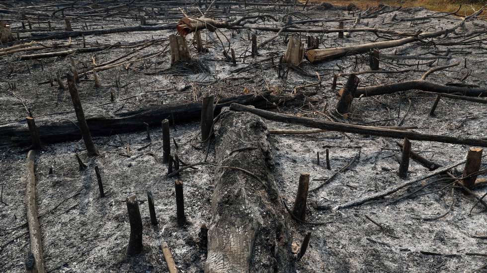 epa10174618 View of a burned forest, in the department of Madre de Dios, Peru, on 04 September 2022, (issued 09 September 2022). Smoke and ashes of thousands of burned plants are seen in the Peruvian Amazon as land is burned to be later dedicated to cultivation, livestock or illegal mining.  EPA/Paolo Aguilar