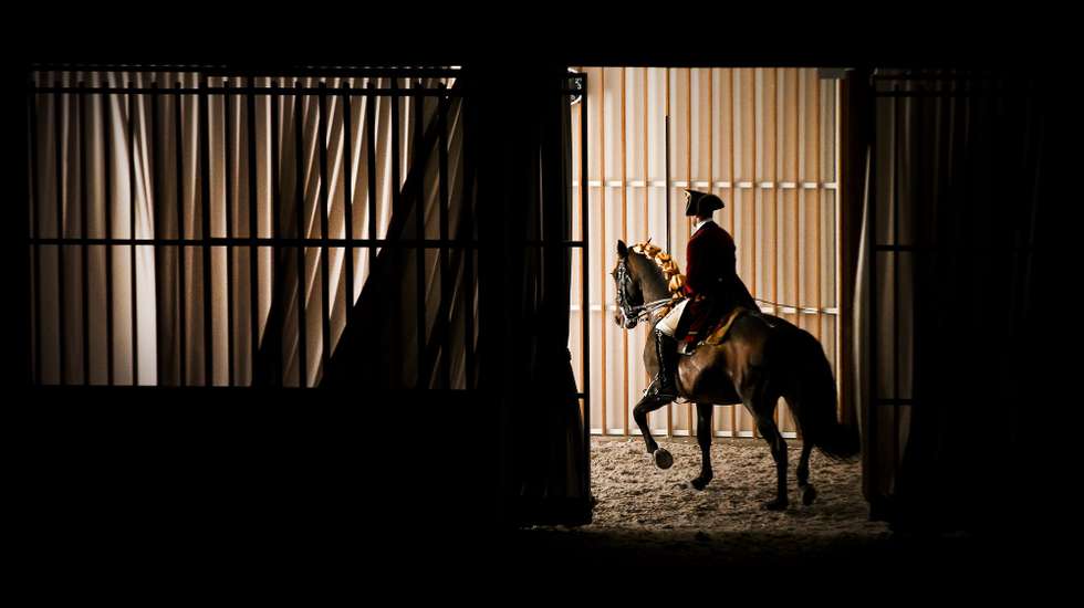 A Escola Portuguesa de Arte Equestre tem desde o dia 20 de julho espetáculos e treinos abertos ao público no novo Picadeiro Henrique Calado, em Lisboa, 10 de agosto de 2015. (ACOMPANHA TEXTO) MÁRIO CRUZ/LUSA