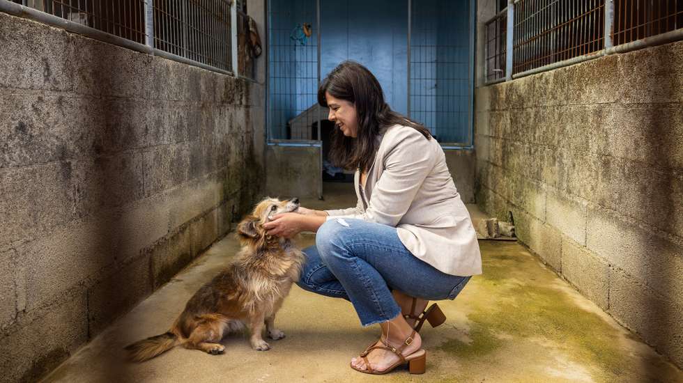 A porta-voz do Partido Pessoas-Animais-Natureza (PAN), Inês de Sousa Real, visita a Associação dos Amigos dos Animais de Santo Tirso, Porto, 18 de julho de 2024. O PAN organiza várias ações ligadas ao bem-estar animal, na data em que se assinalam quatro anos do incêndio da Serra da Agrela, em Santo Tirso, que tirou a vida a mais de 70 animais alojados em dois abrigos ilegais. JOSÉ COELHO/LUSA