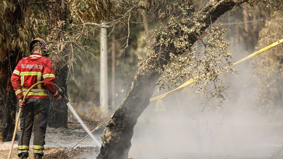 Um bombeiro combate o incêndio na zona de São Teotónio no concelho de Odemira, 8 de agosto de 2023. O incêndio que deflagrou no sábado em São Teotónio, concelho de Odemira, é aquele que continua a merecer maior atenção da Proteção Civil e a área ardida é já de cerca de 7.000 hectares.  LUÍS FORRA/LUSA