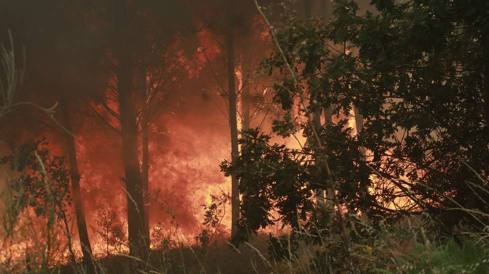 Incêndio de grandes proporções que começou há quatro dias no concelho de Trancoso e que passou para o concelho de Fornos de Algodres, distrito da Guarda, em Casal do Monte, freguesia de Queiriz, 13 de agosto de 2025. O incêndio que lavra desde sábado em Trancoso, distrito da Guarda, sofreu uma reativação durante a madrugada por causa da trovoada e obrigou a um reforço de meios no terreno, segundo a proteção civil. MIGUEL PEREIRA DA SILVA/LUSA