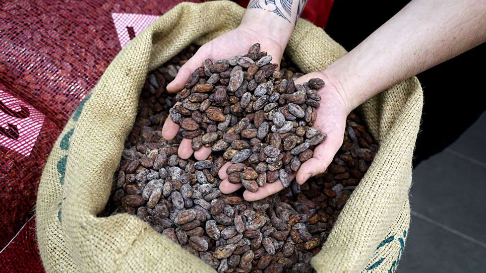 epa12548128 Ugo selects the Cocoa beans to make his chocolate bonbons with centifolia rose petals at the Maison Duplanteur chocolate factory in Grasse, southern France, 25 November 2025. While centifolia roses from Grasse are primarily used in perfume making, they are also utilized in culinary arts, including chocolates. The weeks leading up to Christmas are the busiest time of the year for the sweets industry.  EPA/SEBASTIEN NOGIER