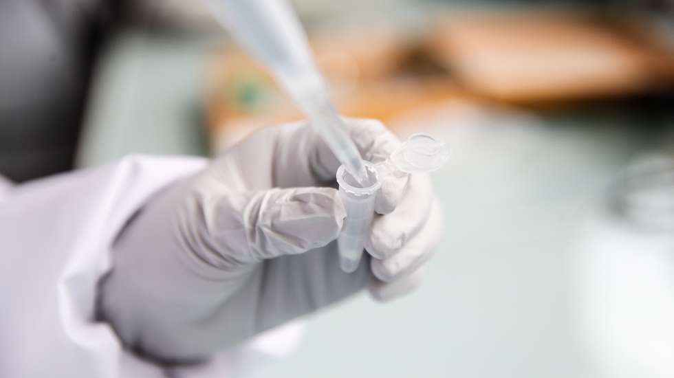 epa10790667 Paraguayan researcher Alejandra Wu-Chuang uses a pipette for antibody detection in a laboratory at the campus facilities of the ANSES (French Agency for Food, Environmental and Occupational Health and Safety) in Maisons Alfort, on the outskirts of Paris, France, 07 August 2023 (08 August 2023). Tick-borne pathogens can be passed to animals and humans by the bite of infected ticks with bacteria, viruses, or parasites. One major example of tick-borne disease is borreliosis (Lyme disease). A team of researchers from INRAE (National Research Institute for Agriculture, Food and Environment)​​, in collaboration with ANSES and ENVA (National Veterinary School of Alfort), are proposing an innovative vaccine targeting the microbiota of ticks in order to reduce the prevalence of bacterium that causes the Lyme disease. There is still no human vaccine for the infection, however scientists are producing new medicines to fend off the illness.  EPA/TERESA SUAREZ