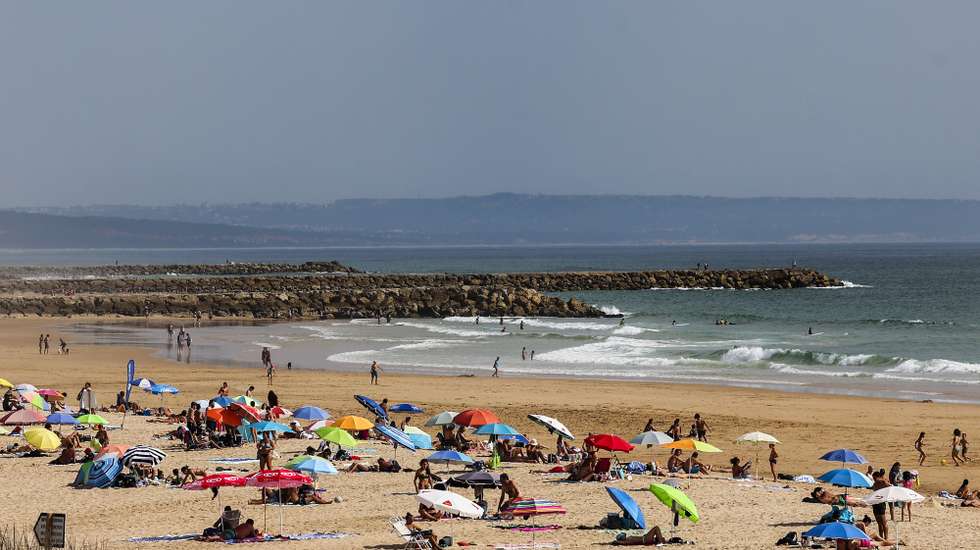 A ministra do Ambiente e Energia, Maria da Graça Carvalho e a presidente da Câmara Municipal de Almada, Inês de Medeiros (ausentes na fotografia), visitam projetos realizados no âmbito da proteção costeira (ReDuna) Praia de São João, Costa da Caparica. ANTÓNIO COTRIM/LUSA