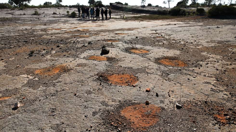 Foram hoje apresentadas a descoberta de novas pegadas de dinossauro, na pedreira do Espanhol em Pedrogão, concelho de Torres Novas 28 dezembro 2024. Estas novas pegadas distam cerca de 4 km do Monumento Natural das Pegadas dos Dinossáurios da Serra de Aire situadas em Barrio, Ourém.(Acompanha texto). PAULO CUNHA/LUSA