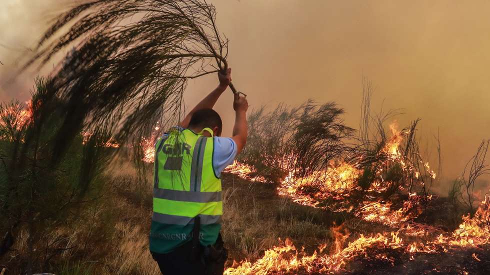 Um elemento da GNR combate um incêndio em Lugar de Pousados, Quinta dos Lacraus, Trancoso, 10 de agosto de 2025. Quatro povoações em Trancoso estão a ser afetadas pelo incêndio uma vez que estão na linha de fogo que está com quatro frentes ativas, mobilizava pelas 17:05, 362 operacionais, apoiados por 120 veículos e oito meios aéreos, segundo a página da Autoridade Nacional de Emergência e Proteção Civil. MIGUEL PEREIRA DA SILVA/LUSA