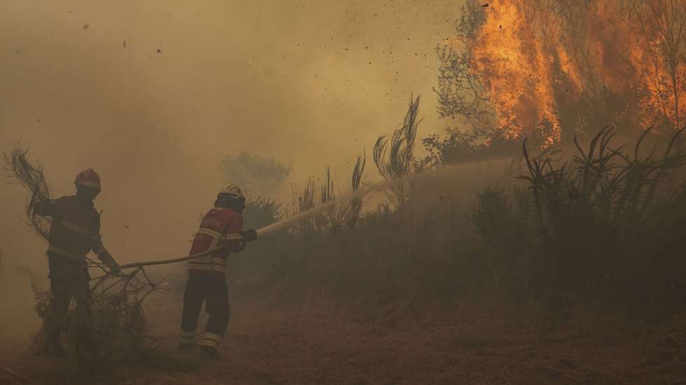 Bombeiros durante o combate ao incêndio florestal que desde a madrugada consome floresta em Mogueirães, Vouzela, 2 de julho de 2026. O Governo decretou situação de alerta, que vai vigorar das 00:00 de sexta-feira às 23:59 de segunda-feira, devido ao "significativo agravamento do risco de incêndios rurais". PAULO NOVAIS/LUSA