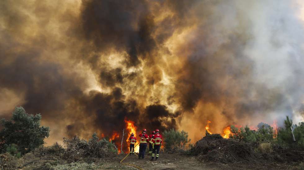 epa13086558 Firefighters battle the flames of the Vouzela wildfire in Cercosa, a parish in the municipality of Mortagua, Portugal, 04 July 2026. Portugal's National Authority for Emergency and Civil Protection (ANEPC) said more than 1,100 firefighters, supported by approximately 360 ground vehicles and 11 aerial firefighting assets, were deployed to combat the blaze.  EPA/PAULO CUNHA