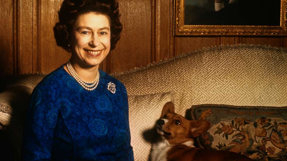 Isabel II teria neste momento quatro cães: dois corgis, Muick e Sandy; Candy, um dorgi (um cruzamento de corgi com dachsund); e Lissy, uma cocker Spaniel