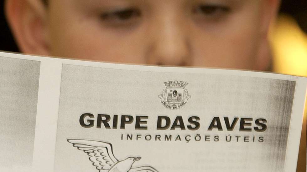 Uma crianca da escola primaria da ilha da Culatra le atentamente um folheto informativo sobre a gripe das aves, inserido na sessao de esclarecimento levada a cabo hoje, quarta feira,22 de marco de 2006, pela camara de Faro e do parque natural da Ria Formosa.FOTO LUIS FORRA/ LUSA