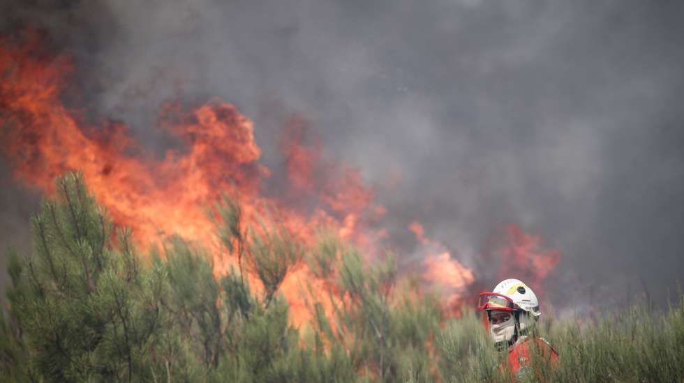 Um bombeiro combate as chamas durante o incêndio na encosta da aldeia de Moura da Serra, Arganil, 14 de agosto de 2025. De acordo com os dados disponíveis no ‘site’ da Autoridade Nacional de Emergência e Proteção Civil (ANEPC), quase 900 operacionais combatiam o fogo que deflagrou na quarta-feira na freguesia de Piódão, no concelho de Arganil, distrito de Coimbra, e se estendeu depois aos municípios de Oliveira do Hospital e Pampilhosa da Serra (Coimbra), e de Seia, já no distrito da Guarda. PAULO CUNHA/LUSA