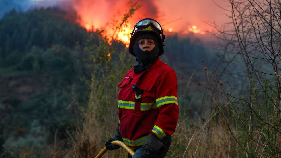 Um bombeiro comabte o incêndio florestal que começou em Ervedal da Beira, Oliveira do Hospital, mas passou para Caldas da Felgueira, no concelho de Nelas, em Viseu, 19 de setembro de 2025. O fogo que lavra desde a tarde de hoje em Oliveira do Hospital, no distrito de Coimbra, obrigou à retirada de mais de duas dezenas de pessoas das suas casas. PAULO NOVAIS/LUSA
