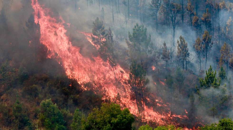 epa12308108 A forest fire that started five days ago near the Aldeia de Piodao, in Arganil, spreads to Ourondo, in Fundao, Portugal, 18 August 2025. Forest fires have burned in Portugal 185.753 hectares to date, causing two deaths, including a firefighter, and several injuries, most of them minor, and completely or partially destroyed primary and secondary residences, as well as farms, livestock operations, and forest areas.  EPA/MIGUEL PEREIRA DA SILVA