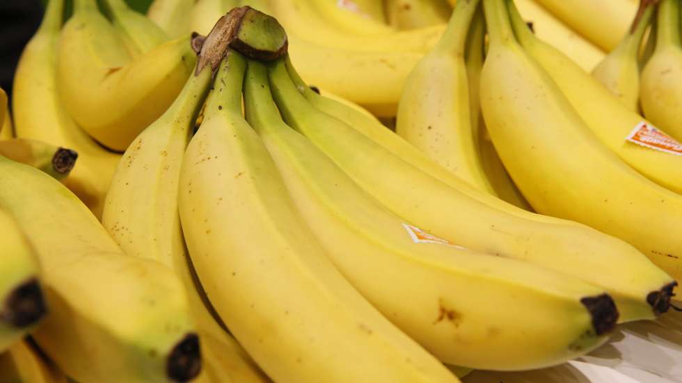 PJ apreende 351kg de cocaína proveniente da América Latina escondida em caixas de banana