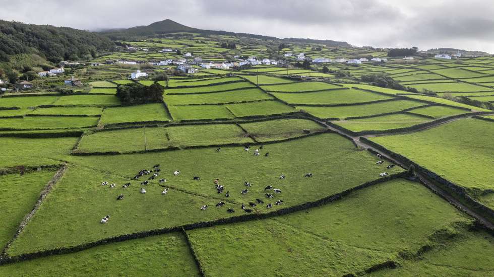 Ilha Terceira
