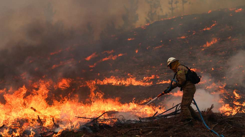 Um bombeiro combate um incêndio na localidade de Cardosos que provocou esta tarde o corte da A1 no concelho de Leiria, 7 de agosto de 2023. PAULO CUNHA/LUSA