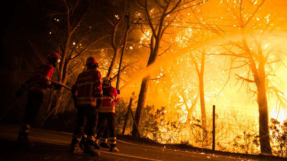 O interior, de Bragança a Castelo Branco, e as serras algarvias são as zonas de maior risco de incêndio pela quantidade de vegetação e escassez de chuvas