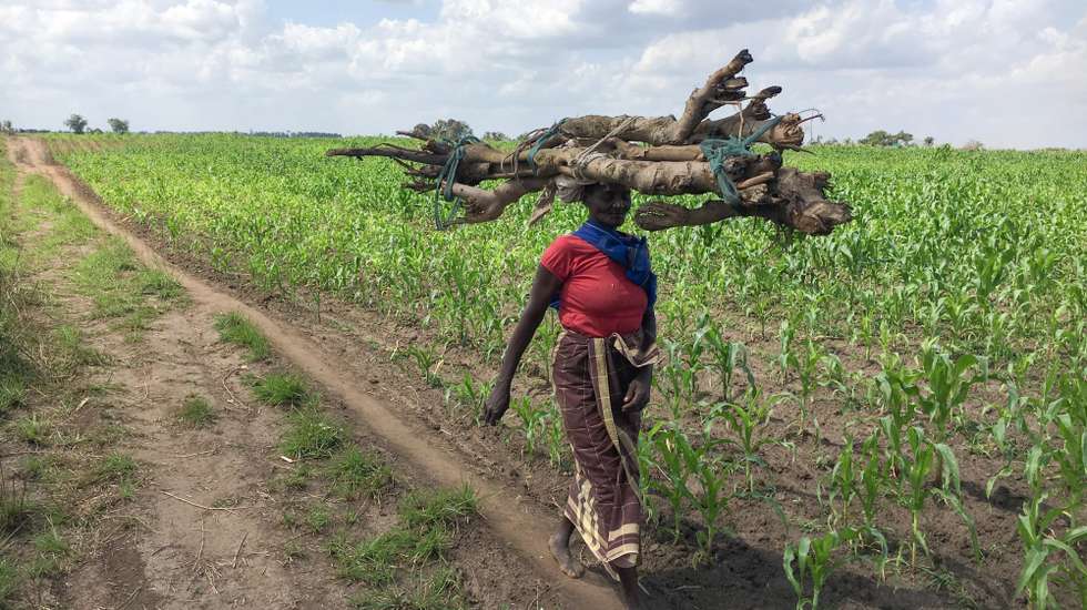 Em 2024, a Alemanha comprometeu-se com o financiamento de 90 milhões de euros para novos projetos de desenvolvimento em Moçambique, dos quais 10 milhões serão canalizados para o clima