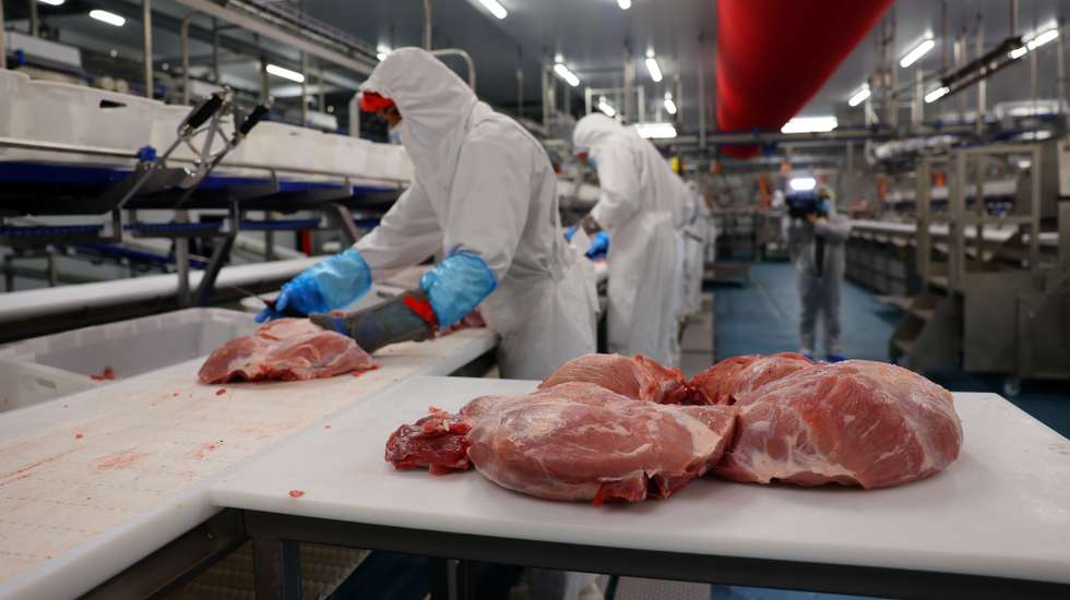 Trabalhadores na unidade agroalimentar de produção de carne de suínos da Maporal. Reguengos de Monsaraz, 28 de fevereiro de 2023. NUNO VEIGA/LUSA