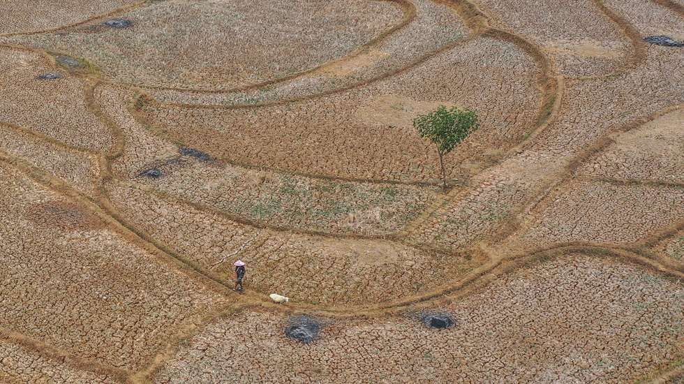 epaselect epa13245049 An aerial photo taken with a drone shows a shepherd herding sheep on a dried-up paddy field in Jonggol, West Java, Indonesia, 17 September 2026. The El Nino-affected drought has forced villagers to collect water for household use from dried-up creeks, while more than 700 hectares of rain-fed rice fields in the area could not be planted. According to the Meteorology, Climatology, and Geophysics Agency (BMKG), the El Nino-affected climate has caused extended drought conditions and increased the risk of wildfires across the country.  EPA/MAST IRHAM