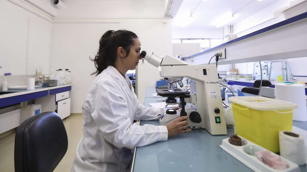 Estudo espanhol revela adaptações genéticas comuns na Europa
