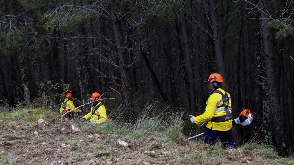 O crime de incêndio florestal está igualmente entre os crimes de prevenção prioritária