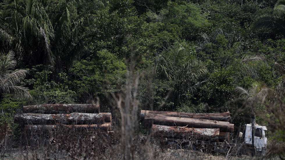 epa07818922 Illegal wood is carried on a vehicle in the municipality Apui, in the south of the Amazonas, Brazil, 04 September 2018 (issued on 05 September). Experts consider that the forest fires in this season are foreseeable due to natural reasons like drought and high temperatures in the northern region of the Brazilian country, but deforestation and provoked fires are resulting in an alarming increase of them.  EPA/Fernando Bizerra