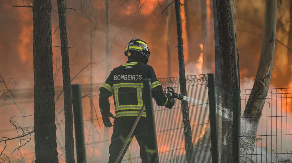 Um bombeiro combate um incêndio em Vales, freguesia de Cercal, concelho de Ourém, 8 de julho de 2022. De acordo com a página da Autoridade Nacional de Emergência e Proteção Civil, o incêndio está a ser combatibo por 90 operacionais, apoiados por 22 viaturas e 03 meios aéreos. PAULO CUNHA/LUSA