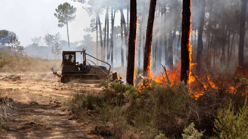 Máquinas de rasto durante o combate ao incêndio que lavra na zona da Quinta do Lago, em Almancil, Faro, 13 de julho de 2022. Dezasseis dos 18 distritos de Portugal continental estão hoje sob aviso vermelho, o mais grave, devido ao tempo quente, com mais de uma centena de concelhos em perigo máximo de incêndio rural. DUARTE DRAGO/LUSA