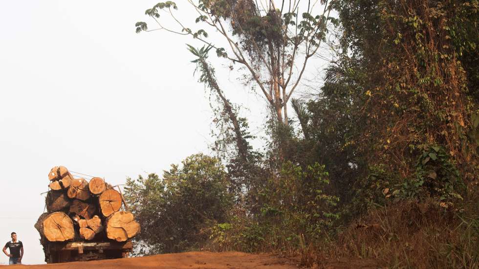 epa07794102 View of a truck detained in a joint operation between the Police and the Rondonia Department of Environmental Development, which was used to transport wood illegally extracted from the Amazon rainforest, in the state of Rondonia, Brazil, 25 August 2019. Seven Brazilian states have formally requested the help of the military.  EPA/Joedson Alves