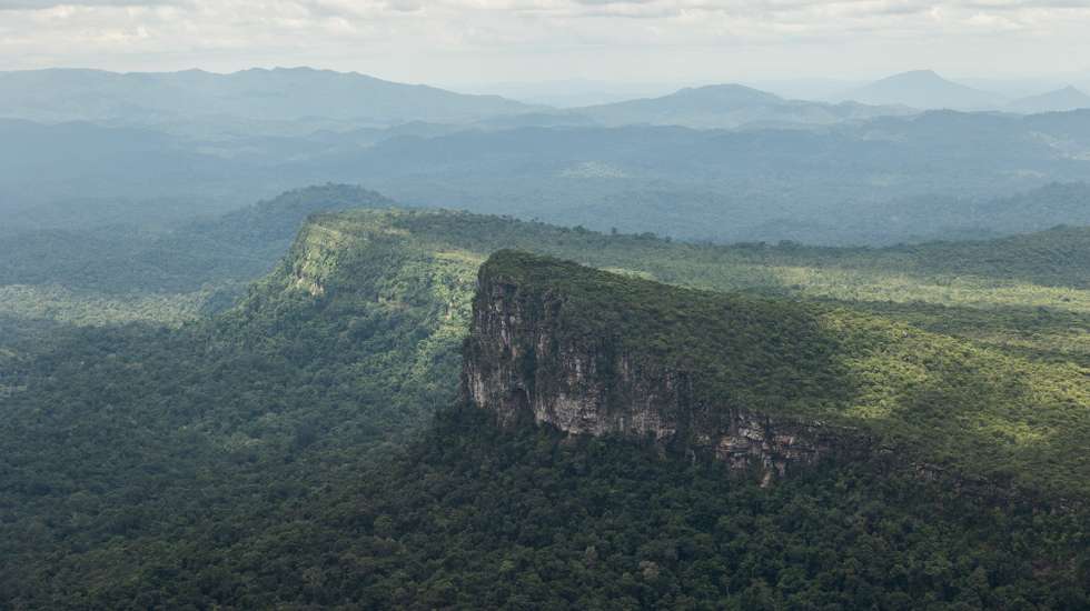 epa10444794 A general view of the Amazon Rainforest during a Brazilian Air Force mission to deliver supplies to the Yanomami people living on Indigenous Land near the Surucucu military base, in the Amazonian state of Roraima, Brazil, 02 February 2023. The mission departed from the Boa Vista Air Base, the state capital, in an Embraer KC-390 cargo plane. The Yanomami people are experiencing a humanitarian crisis due to the presence of illegal mining on their lands.  EPA/Raphael Alves