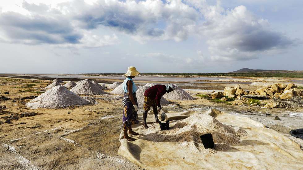 Trabalhadores da cooperativa criada há 20 anos para explorar as salinas do Porto Inglês, um negócio de mulheres para responder à procura por sal iodado para tratar doenças ilha do Maio, Cabo Verde, 25 de agosto de 2023. Hoje, também há a ambição de colocar as salinas ao serviço do turismo, mas começa a faltar gente na ilha do Maio que cuide daquela arte antiga. (ACOMPANHA TEXTO DA LUSA DO DIA 17 DE SETEMBRO DE 2023). ELTON MONTEIRO/LUSA