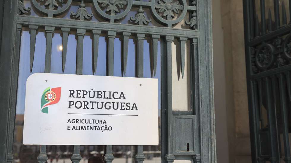 Logotipo do Ministério da Agricultura, Lisboa 15 de abril de 2024. ANTÓNIO COTRIM/LUSA