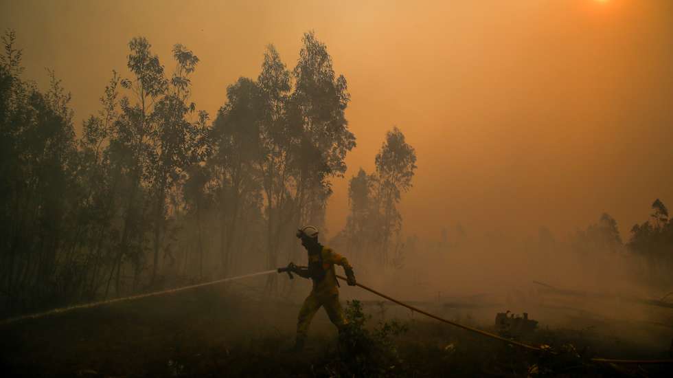Um bombeiro durante o combate ao incêndio em Águeda, 18 de setembro de 2024. Sete pessoas morreram e 40 ficaram feridas, duas com gravidade, nos incêndios que atingem desde domingo as regiões Norte e Centro do país, nos distritos de Aveiro, Porto, Vila Real e Viseu, e que destruíram dezenas de casas e obrigaram a cortar estradas e autoestradas, como a A1, A25 e A13. PAULO CUNHA/LUSA