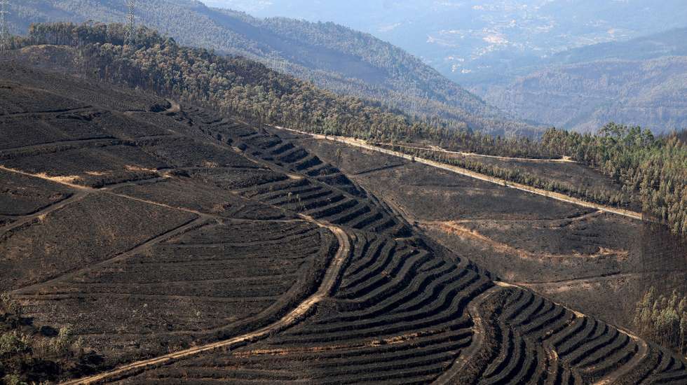 Paisagem florestal destruida pelo incêndio que fustigou o concelho de Arouca durante três dias, 01 de agosto de 2025. O incêndio que deflagrou na segunda-feira em Arouca, e que alastrou aos concelhos vizinhos de Castelo de Paiva e Cinfães, foi dado como dominado cerca das 07:00 de hoje. De acordo com as primeiras estimativas, o incêndio de Arouca chegou a ter cerca de 50 quilómetros de perímetro e consumiu neste município uma área de cerca de 4000 hectares de floresta. ESTELA SILVA/LUSA