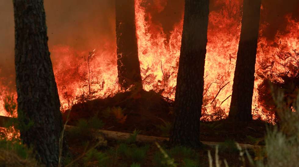 Incêndio de grandes proporções que começou há quatro dias no concelho de Trancoso e que passou para o concelho de Fornos de Algodres, distrito da Guarda, em Queiriz, 13 de agosto de 2025. O incêndio que lavra desde sábado em Trancoso, distrito da Guarda, sofreu uma reativação durante a madrugada por causa da trovoada e obrigou a um reforço de meios no terreno, segundo a proteção civil. MIGUEL PEREIRA DA SILVA/LUSA
