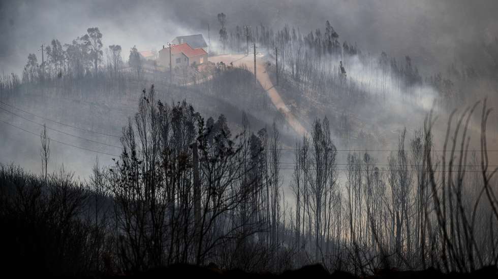 epaselect epa12298345 Smoke billows from a burned forested area during a wildfire in the village of Gramaca, Oliveira do Hospital municipality, central Portugal, 13 August 2025. The fire, which started in the nearby village of Piodao, has spread to neighbouring Arganil and other areas prompting the deployment of more than 600 firefighters.  EPA/PAULO CUNHA