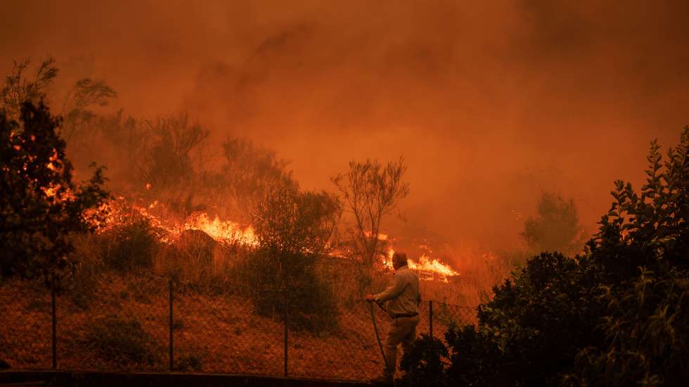People try to fight the fire during a forest fire in Macieira, Sernancelhe, Viseu, Portugal, 15 August 2025. The fire that started early Wednesday morning in Satao, in the district of Viseu, spread to the districts of Sernancelhe (Viseu) and Aguiar da Beira (Guarda). PEDRO SARMENTO COSTA/LUSA