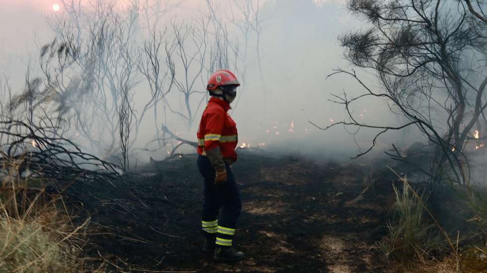 A firefighter try to fight the forest fire in Pinhel, Guarda, Portugal, 16 August 2025. Forest fires have burned in Portugal 139,000 hectares to date, half of which in just two days, representing 17 times more than the area burned in the same period last year. MIGUEL PEREIRA DA SILVA/LUSA