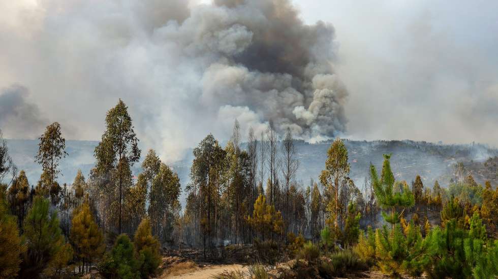 Coluna de fumo durante o incêndio que consome floresta em Ervedal da Beira, Oliveira do Hospital, 19 de setembro de 2025. O fogo que lavra desde a tarde de hoje em Oliveira do Hospital, no distrito de Coimbra, obrigou à retirada de mais de duas dezenas de pessoas das suas casas. PAULO NOVAIS/LUSA