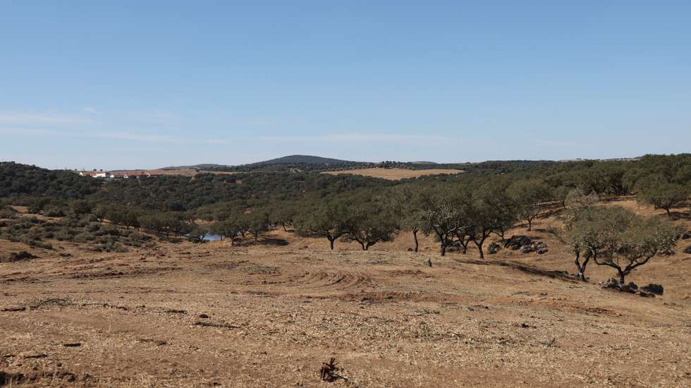 Local onde será construído o paredão da barragem do Pisão, durante uma visita ao início dos trabalhos da empreitada das Infraestruturas Primárias da Barragem do Pisão, Crato, 22 de setembro de 2025. A barragem é um projeto estruturante para o desenvolvimento do Alto Alentejo, que irá assegurar o abastecimento de água potável, potenciar a agricultura, reforçar a coesão territorial e contribuir para a transição energética da região. NUNO VEIGA/LUSA