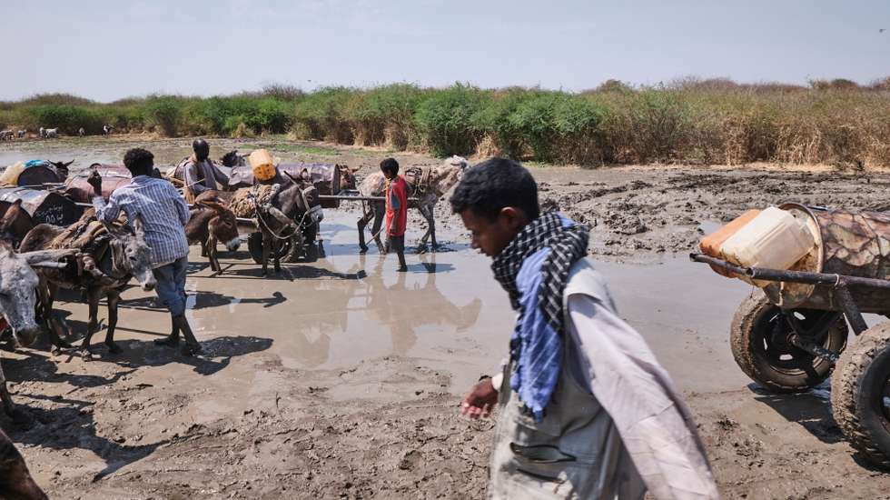 epa11898824 Sudanese refugees wait their turn to get drinking water from a muddy pond in Gerbana, a village 22km from the Sudanese border, South Sudan, 13 February 2025 (issued on 15 February 2025), as  water shortages and diseases resulting from contaminated water have become the community's main complaint. About 110,000 people have arrived in Renk County since December 2024, according to MSF, with 70,000 living in informal settlements such as Gerbana and Atham. There are 975,079 Sudanese refugees in South Sudan, according to UNHCR.  EPA/DIEGO MENJIBAR