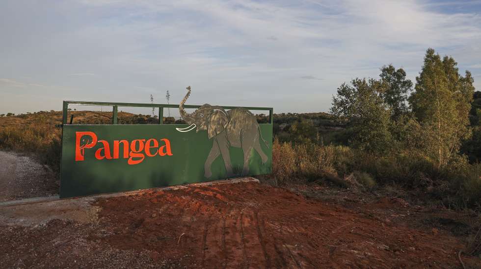 Portão da propriedade da organização Pangea, onde está a ser instalado o primeiro Santuário de Elefantes em grande escala na Europa, Vila Viçosa, 06 de novembro de 2025. NUNO VEIGA/LUSA