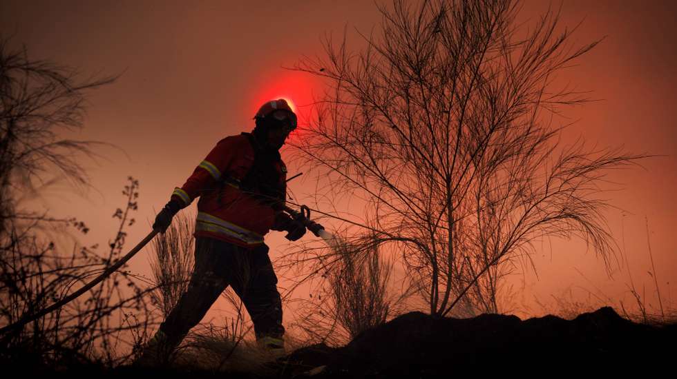 epa13142749 A firefighter battles the flames during a wildfire in Valpacos, Portugal, 30 July 2026. The fire broke out on 28 July in the municipality of Valpacos and spread to those of Mirandela and Vinhais. Additional resources and personnel have been deployed, according to the Civil Protection Agency.  EPA/PEDRO SARMENTO COSTA