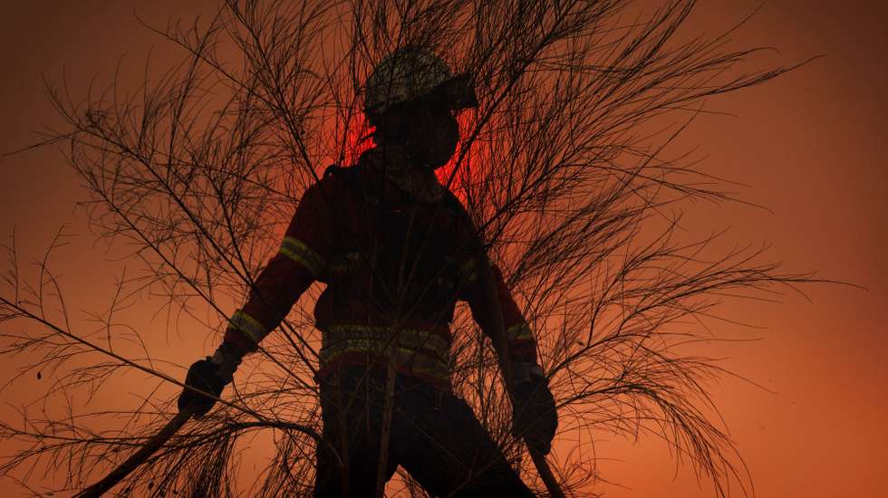 A firefighter fights the flames during a wildfire in Valpacos, Portugal, 30th July 2026. The fire, which broke out on Tuesday in the municipality of Valpaços and spread to those of Mirandela and Vinhais, has three active fronts this evening, and additional resources and personnel have been deployed, according to the Civil Protection Agency. PEDRO SARMENTO COSTA/LUSA