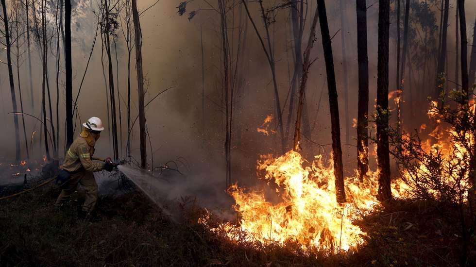 O homem foi detido, fora de flagrante delito, pela PJ em setembro de 2024, após o último incêndio ocorrido em Cacia