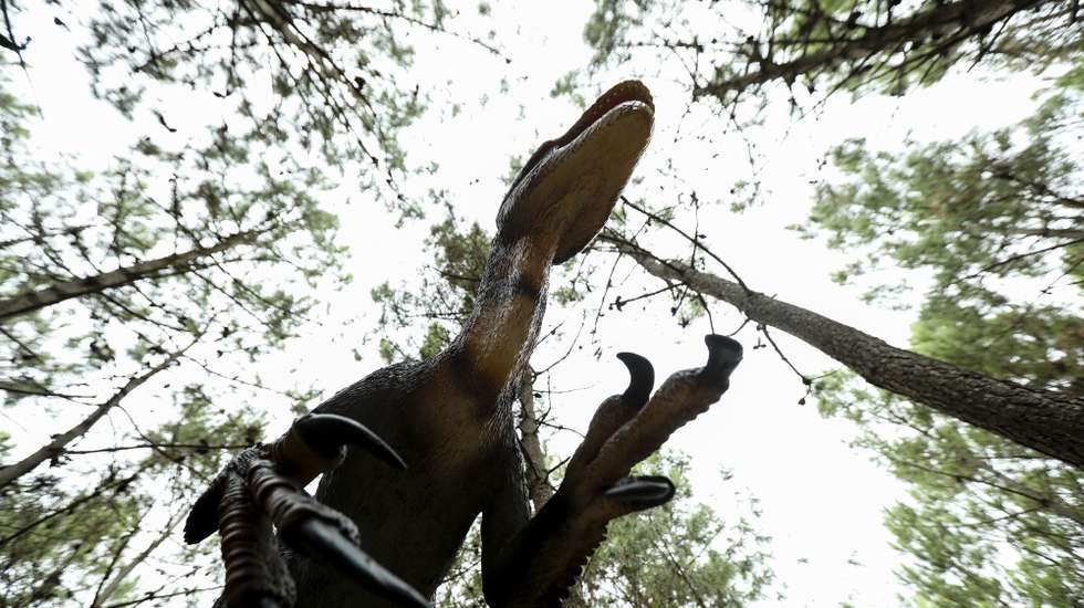 Réplica de um dinossauro que pode ser vista no Dino Parque da Lourinha onde estão desde segunda-feira a ser montados uma centena de dinossauros e decorrem obras de construção de um espaço museológico para expor os achados de dinossauro descobertos no concelho. O Dino Parque tem prevista abertura para o inicio de 2018. Lourinhã, 5 de setembro de 2018. (ACOMPANHA TEXTO) MIGUEL A. LOPES/LUSA
