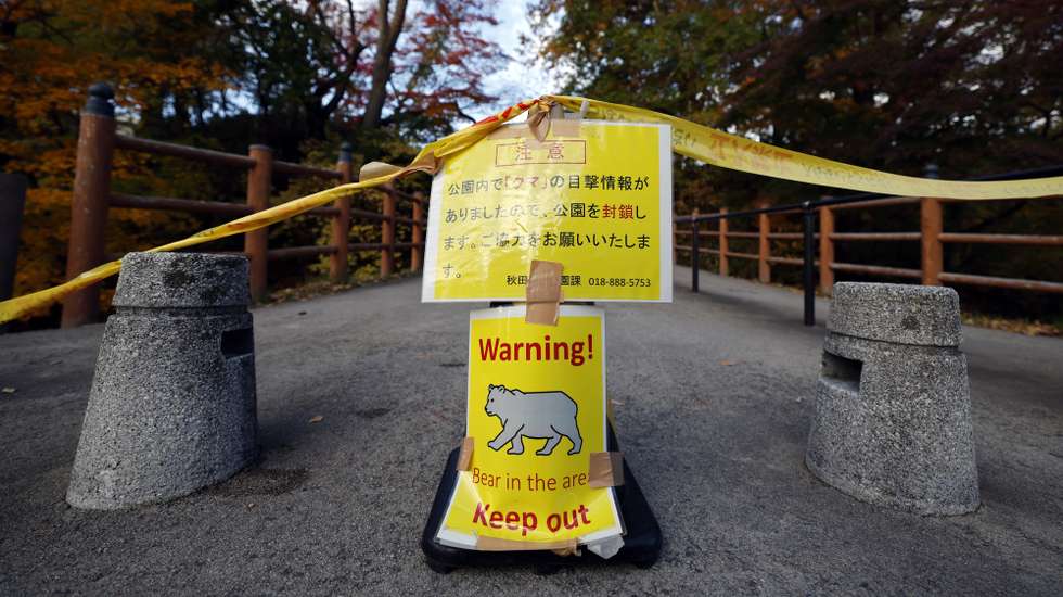 epa12522409 A warning sign stands at Senshu Park, where bear sightings have led to restricted access, in Akita, Akita Prefecture, northeastern Japan, 13 November 2025. Earlier in the day, to address the growing problem of serious bear attacks, a police 'Bear Control Task Force' began its mission to cull bears using rifles, a first in Japan. Nationwide, fatalities from bear attacks have reached a record 13 so far this year.  EPA/FRANCK ROBICHON